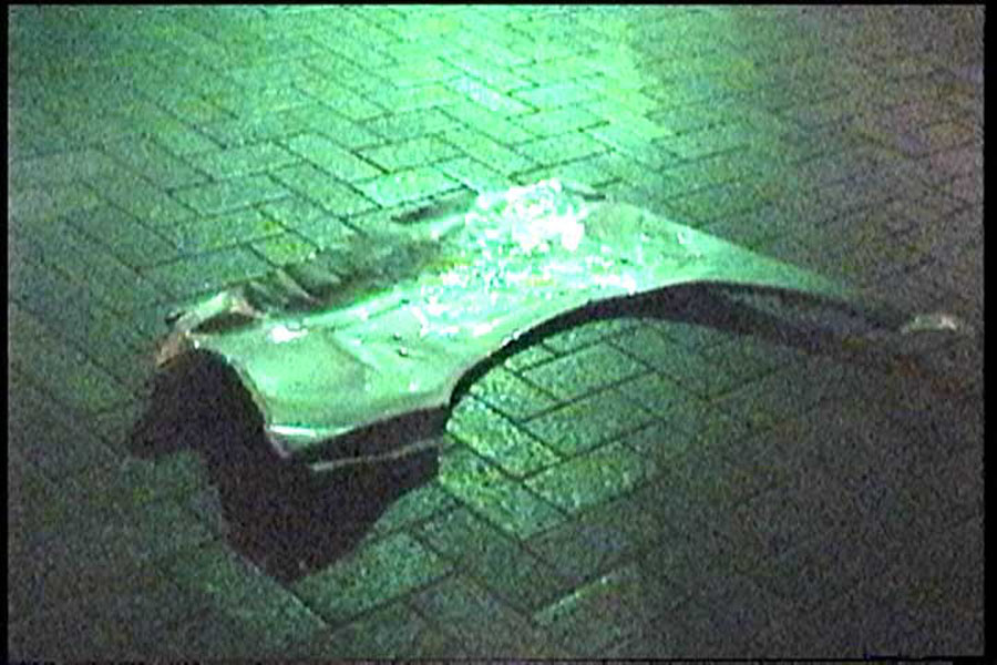 dog-15