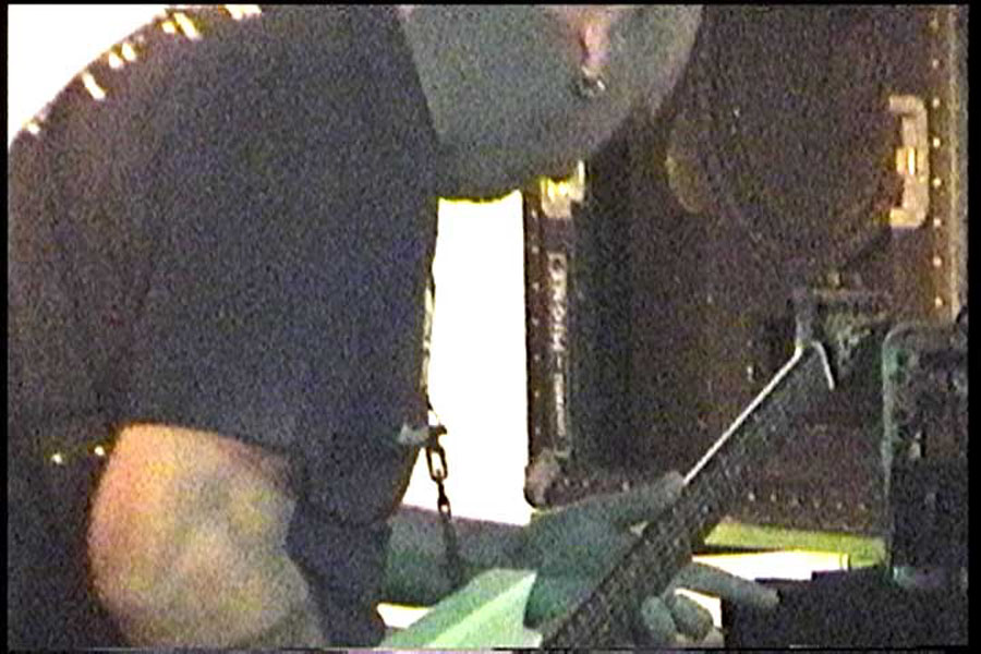 dog-16